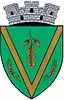 Coat of arms of Negru Vodă