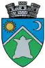Coat of arms of Sovata