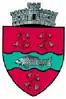 Coat of arms of Pojorâta