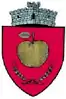 Coat of arms of Rădășeni