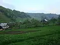 Farmland (Larga)