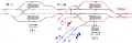 Track diagram for the Tokyo Metro and Tobu lines