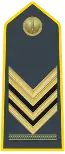 Chief Brigadier special class (Sovrintendenti - Brigadiere Capo qualifica speciale) (Master Sergeant)same insignia as Chief Brigadier with star above chevron