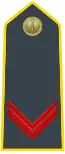 Select Agent (Finanziere scelto) (Specialist)