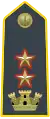 Lieutenant-Colonel, commanding officer