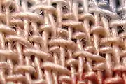 A sample of rayon from a skirt photographed with a macro lens.