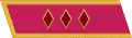 Jacket collar patch and gymnastyorka