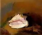 Coquille, 1912 (Musée d'Orsay)