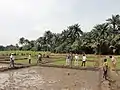 Africa Rice Center staff in Benin, 2011
