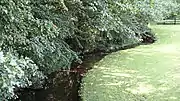 River Foss near Crayke 2 miles from its source.mw-parser-output .geo-default,.mw-parser-output .geo-dms,.mw-parser-output .geo-dec{display:inline}.mw-parser-output .geo-nondefault,.mw-parser-output .geo-multi-punct{display:none}.mw-parser-output .longitude,.mw-parser-output .latitude{white-space:nowrap}54°8′16.55″N 1°8′1.12″W﻿ / ﻿54.1379306°N 1.1336444°W﻿ / 54.1379306; -1.1336444