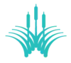 Official logo of Riverstone
