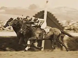 Rogilla,1934 Kings Cup Peter Pan 2nd, Kuvera 3rd.