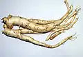 Doraji (balloon flower root)