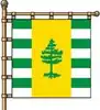 Flag of Rubizhne