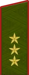 Colonel General