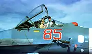 Russian Navy officer explains his aircraft to a visiting U.S. Navy officer on the flight deck of the Admiral Kuznetsov, Jan. 7, 1996