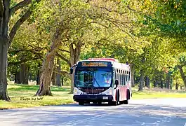 Route LX - 4190