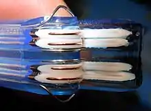 SATA cable showing the two foil shielded differential pairs.