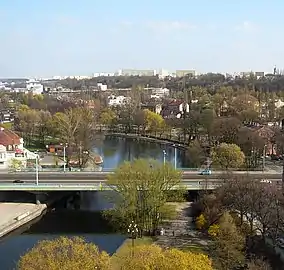 Bird eye view