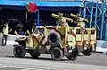 Anti-tank variant