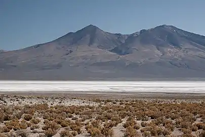 Chiguana salt lake (Salar de Chiguana) in the Pelcoya and Chiguana Cantons