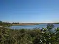 Overview of the Gerritsen Creek