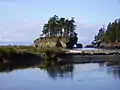View of Beach Area.