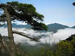 Mountain Lu