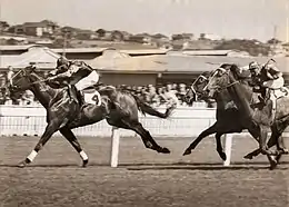 San Domenico, 1950 & 1951 winner.