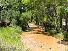 The San Pedro River