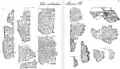 Prism B fragments