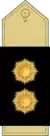 Lieutenant Colonel