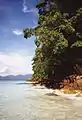 Image 19Ko Yang of the Tarutao group (from List of islands of Thailand)