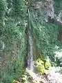 Saut du Loup