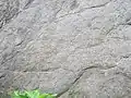 Jain Inscription_2