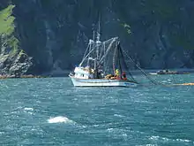A seiner netting salmon in July off the coast of Raspberry Island, Alaska