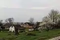 Divci - rural property