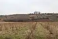 Mrcic village - panorama