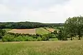 Radjevo Selo - panorama