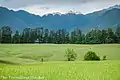 Meadows in Shangarh, Himachal Pradesh, India