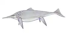 Shonisaurus popularis