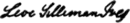 Levi Silliman Ives's signature