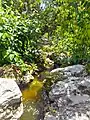 Artificial creek