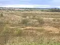 The old opencast site looking towards the Montgomery Park housing scheme
