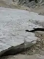 Glacier snow.