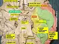Optic nerve