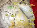 Ascending aorta