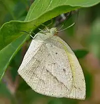 In Hyderabad, India