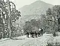 The stage road to Millwood climbed up through Squaw Valley, Dunlap, Deer Park, and past Sontag Point: 143 