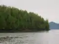 Stark Point, south of the mouth of Hevenor Inlet